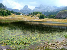 Sdosteuropa, Montenegro: Vielfalt Montenegros – Natur pur und mehr - Durmitor Nationalpark